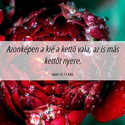Picture 06 - Máté 25:17 KAR - Azonképen a kié a kettõ vala, az is más - Bible Verse Picture