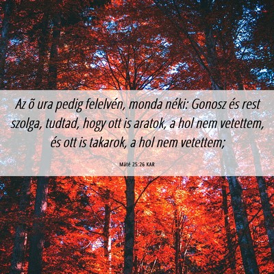 Picture 06 - Máté 25:26 KAR - Az õ ura pedig felelvén, monda néki: Gonosz - Bible Verse Picture