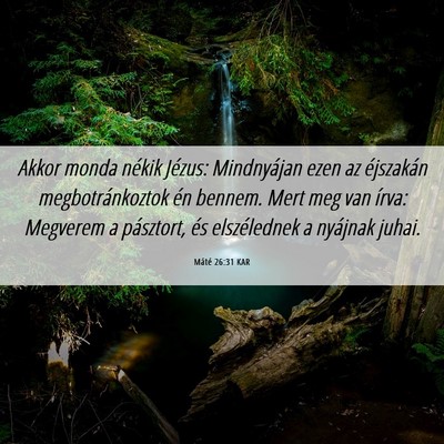 Picture 06 - Máté 26:31 KAR - Akkor monda nékik Jézus: Mindnyájan ezen az - Bible Verse Picture