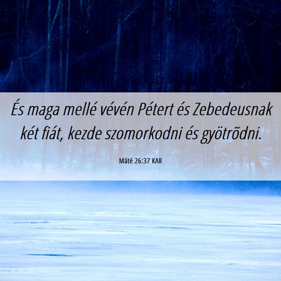 Picture 06 - Máté 26:37 KAR - És maga mellé vévén Pétert és Zebedeusnak - Bible Verse Picture
