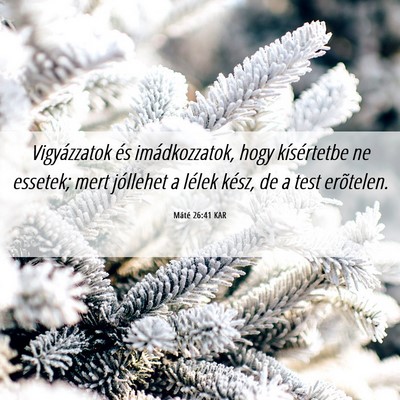 Picture 06 - Máté 26:41 KAR - Vigyázzatok és imádkozzatok, hogy kísértetbe - Bible Verse Picture