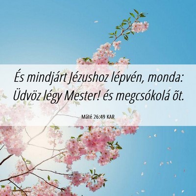 Picture 06 - Máté 26:49 KAR - És mindjárt Jézushoz lépvén, monda: Üdvöz - Bible Verse Picture