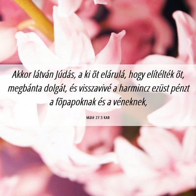 Picture 06 - Máté 27:3 KAR - Akkor látván Júdás, a ki õt elárulá, hogy - Bible Verse Picture