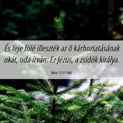 Picture 06 - Máté 27:37 KAR - És feje fölé illeszték az õ - Bible Verse Picture