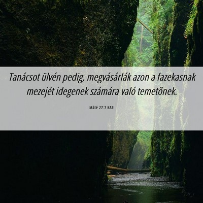 Picture 06 - Máté 27:7 KAR - Tanácsot ülvén pedig, megvásárlák azon a - Bible Verse Picture