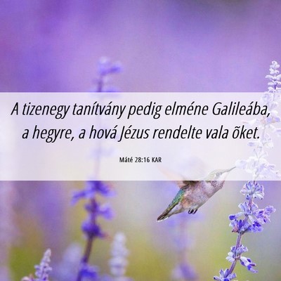 Picture 06 - Máté 28:16 KAR - A tizenegy tanítvány pedig elméne Galileába, - Bible Verse Picture