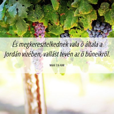 Picture 06 - Máté 3:6 KAR - És megkeresztelkednek vala õ általa a Jordán - Bible Verse Picture