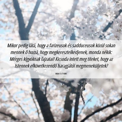 Picture 06 - Máté 3:7 KAR - Mikor pedig látá, hogy a farizeusok és - Bible Verse Picture