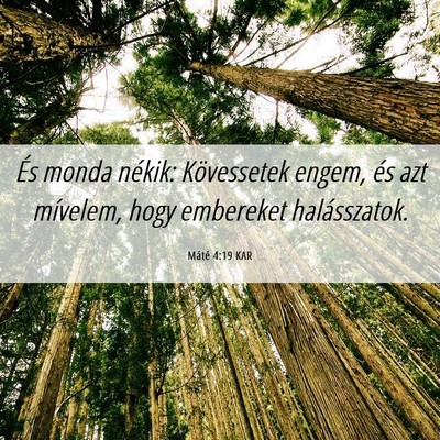 Picture 06 - Máté 4:19 KAR - És monda nékik: Kövessetek engem, és azt - Bible Verse Picture