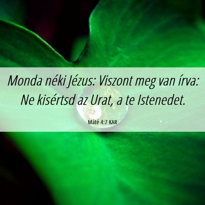 Picture 06 - Máté 4:7 KAR - Monda néki Jézus: Viszont meg van írva: Ne - Bible Verse Picture