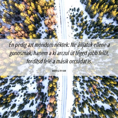 Picture 06 - Máté 5:39 KAR - Én pedig azt mondom néktek: Ne álljatok ellene - Bible Verse Picture
