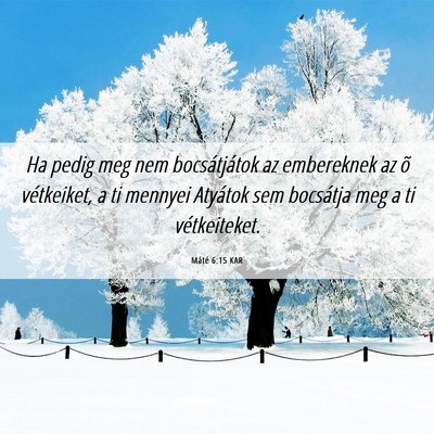 Picture 06 - Máté 6:15 KAR - Ha pedig meg nem bocsátjátok az embereknek az - Bible Verse Picture
