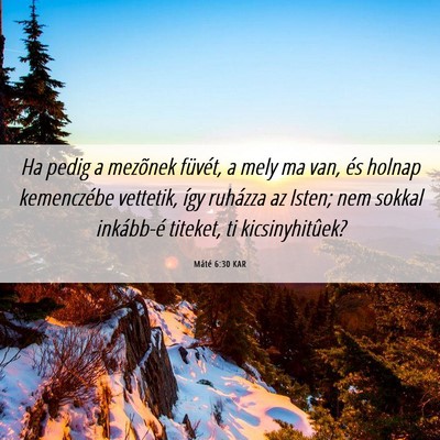 Picture 06 - Máté 6:30 KAR - Ha pedig a mezõnek füvét, a mely ma van, és - Bible Verse Picture