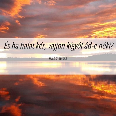 Picture 06 - Máté 7:10 KAR - És ha halat kér, vajjon kígyót ád-e - Bible Verse Picture