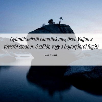 Picture 06 - Máté 7:16 KAR - Gyümölcseikrõl ismeritek meg õket. Vajjon a - Bible Verse Picture