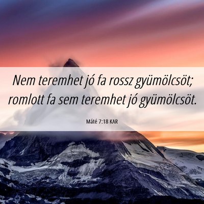Picture 06 - Máté 7:18 KAR - Nem teremhet jó fa rossz gyümölcsöt; romlott - Bible Verse Picture