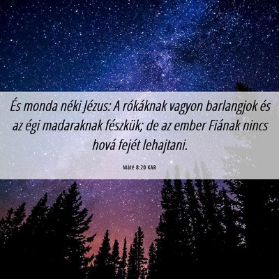 Picture 06 - Máté 8:20 KAR - És monda néki Jézus: A rókáknak vagyon - Bible Verse Picture