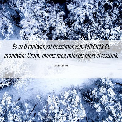 Picture 06 - Máté 8:25 KAR - És az õ tanítványai hozzámenvén, - Bible Verse Picture