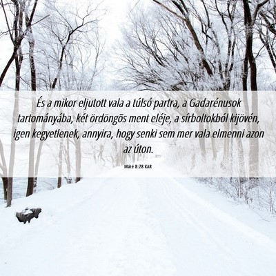 Picture 06 - Máté 8:28 KAR - És a mikor eljutott vala a túlsó partra, a - Bible Verse Picture