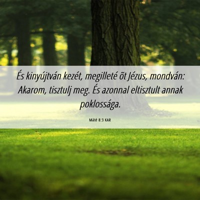 Picture 06 - Máté 8:3 KAR - És kinyújtván kezét, megilleté õt Jézus, - Bible Verse Picture