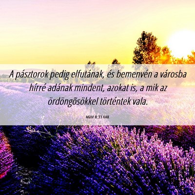 Picture 06 - Máté 8:33 KAR - A pásztorok pedig elfutának, és bemenvén a - Bible Verse Picture