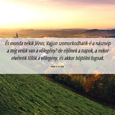 Picture 06 - Máté 9:15 KAR - És monda nékik Jézus: Vajjon szomorkodhatik-é - Bible Verse Picture