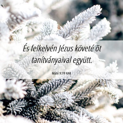 Picture 06 - Máté 9:19 KAR - És felkelvén Jézus követé õt - Bible Verse Picture