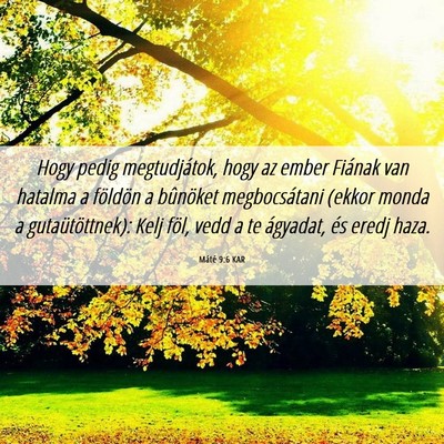 Picture 06 - Máté 9:6 KAR - Hogy pedig megtudjátok, hogy az ember Fiának - Bible Verse Picture