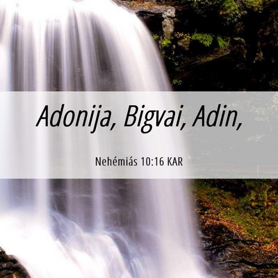 Picture 06 - Nehémiás 10:16 KAR - Adonija, Bigvai, - Bible Verse Picture