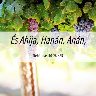 Picture 06 - Nehémiás 10:26 KAR - És Ahija, Hanán, - Bible Verse Picture