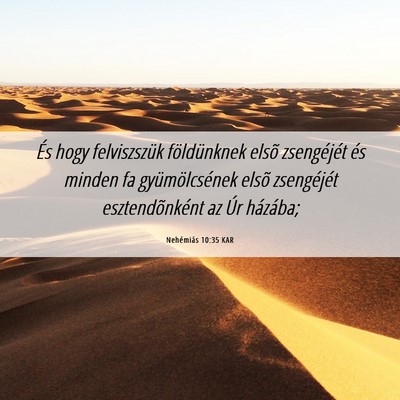 Picture 06 - Nehémiás 10:35 KAR - És hogy felviszszük földünknek elsõ - Bible Verse Picture