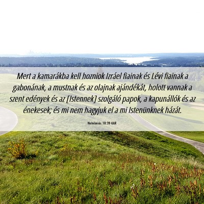 Picture 06 - Nehémiás 10:39 KAR - Mert a kamarákba kell hozniok Izráel fiainak - Bible Verse Picture