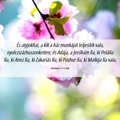 Picture 06 - Nehémiás 11:12 KAR - És atyjokfiai, a kik a ház munkáját - Bible Verse Picture