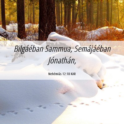 Picture 06 - Nehémiás 12:18 KAR - Bilgáéban Sammua, Semájáéban - Bible Verse Picture