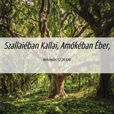 Picture 06 - Nehémiás 12:20 KAR - Szallaiéban Kallai, Amókéban - Bible Verse Picture