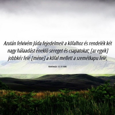 Picture 06 - Nehémiás 12:31 KAR - Azután felvivém Júda fejedelmeit a kõfalhoz - Bible Verse Picture