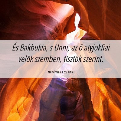 Picture 06 - Nehémiás 12:9 KAR - És Bakbukia, s Unni, az õ atyjokfiai velök - Bible Verse Picture