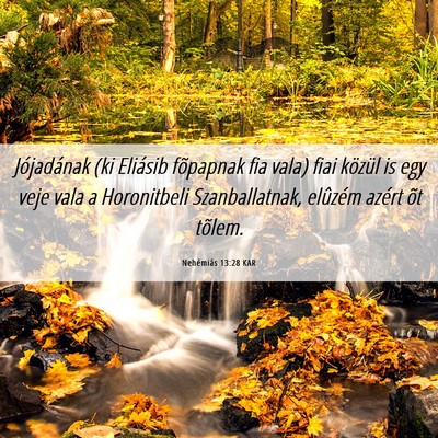 Picture 06 - Nehémiás 13:28 KAR - Jójadának (ki Eliásib fõpapnak fia vala) fiai - Bible Verse Picture