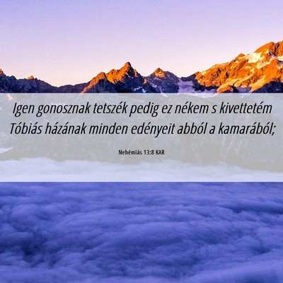 Picture 06 - Nehémiás 13:8 KAR - Igen gonosznak tetszék pedig ez nékem s - Bible Verse Picture