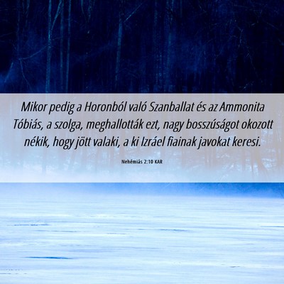 Picture 06 - Nehémiás 2:10 KAR - Mikor pedig a Horonból való Szanballat és az - Bible Verse Picture