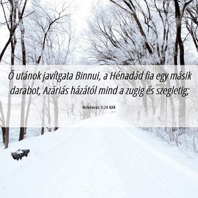 Picture 06 - Nehémiás 3:24 KAR - Õ utánok javítgata Binnui, a Hénadád fia egy - Bible Verse Picture