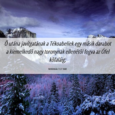 Picture 06 - Nehémiás 3:27 KAR - Õ utána javítgatának a Tékoabeliek egy - Bible Verse Picture