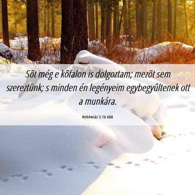 Picture 06 - Nehémiás 5:16 KAR - Sõt még e kõfalon is dolgoztam; mezõt sem - Bible Verse Picture