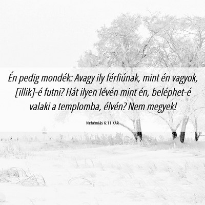 Picture 06 - Nehémiás 6:11 KAR - Én pedig mondék: Avagy ily férfiúnak, mint - Bible Verse Picture