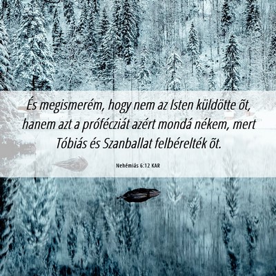 Picture 06 - Nehémiás 6:12 KAR - És megismerém, hogy nem az Isten küldötte - Bible Verse Picture