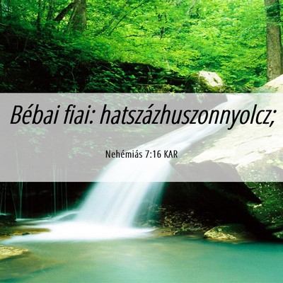 Picture 06 - Nehémiás 7:16 KAR - Bébai fiai: - Bible Verse Picture