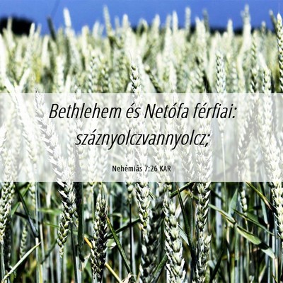 Picture 06 - Nehémiás 7:26 KAR - Bethlehem és Netófa férfiai: - Bible Verse Picture