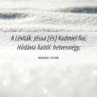 Picture 06 - Nehémiás 7:43 KAR - A Léviták: Jésua [és] Kadmiel fiai, Hódávia - Bible Verse Picture