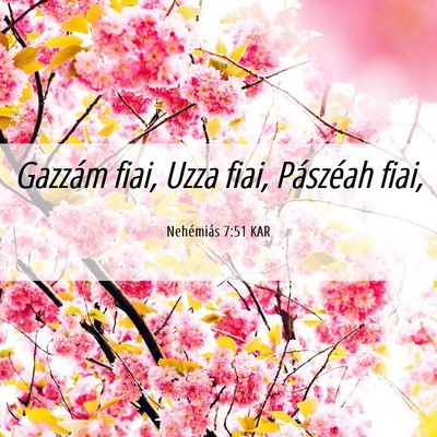 Picture 06 - Nehémiás 7:51 KAR - Gazzám fiai, Uzza fiai, Pászéah - Bible Verse Picture
