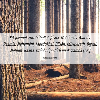 Picture 06 - Nehémiás 7:7 KAR - Kik jövének Zorobábellel: Jésua, Nehémiás, - Bible Verse Picture